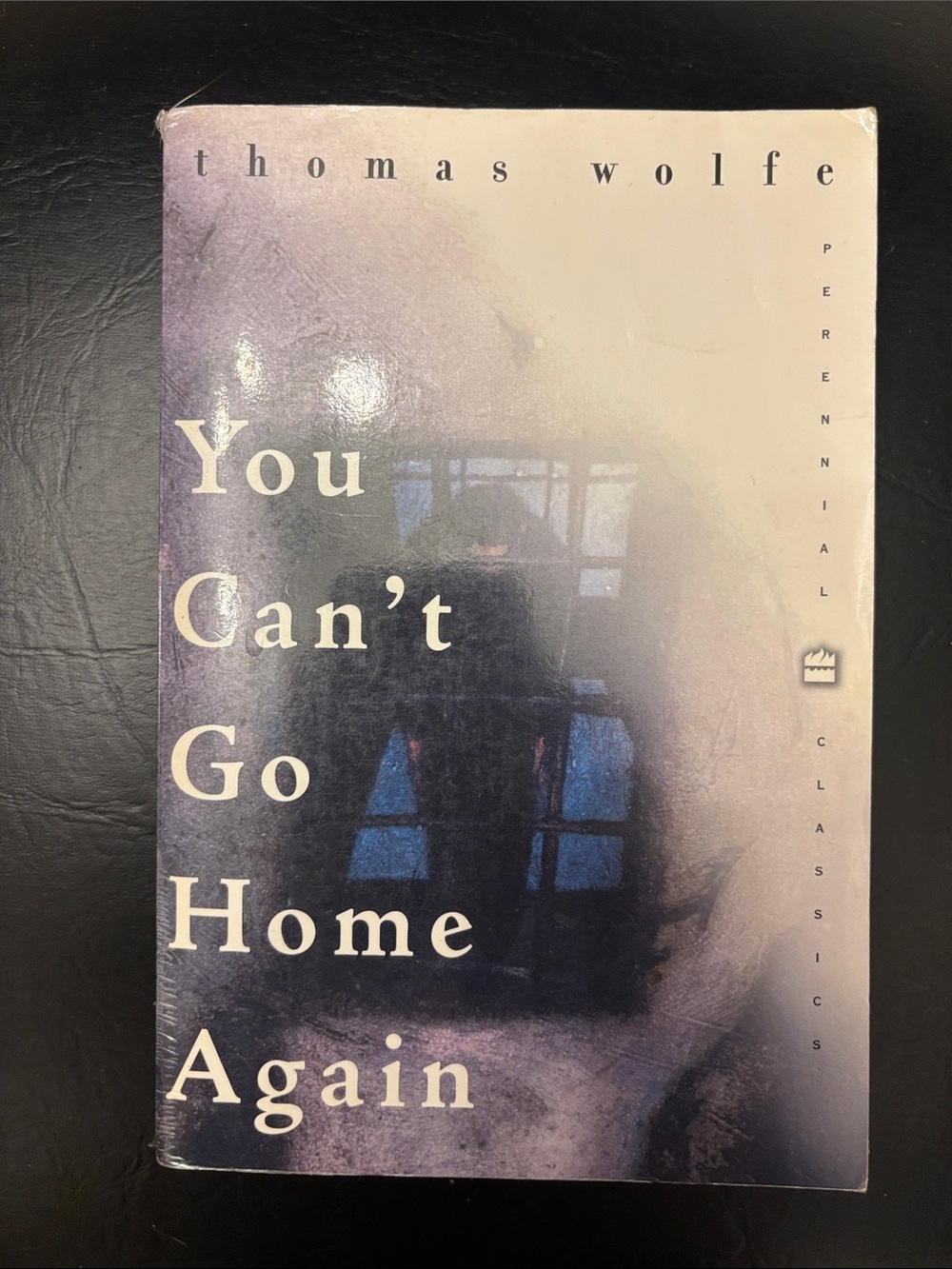 🌟 4 for $20 You Can’t Go Home Again - Thomas Wolfe
